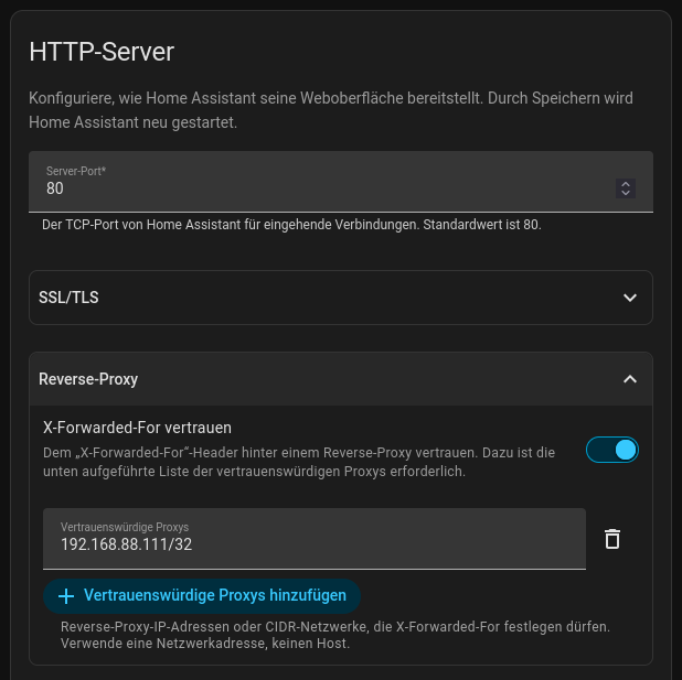 Screenshot: Reverse Proxy einrichten