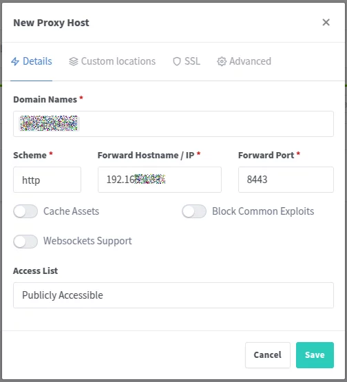 Screenshot: Proxy Host einrichten